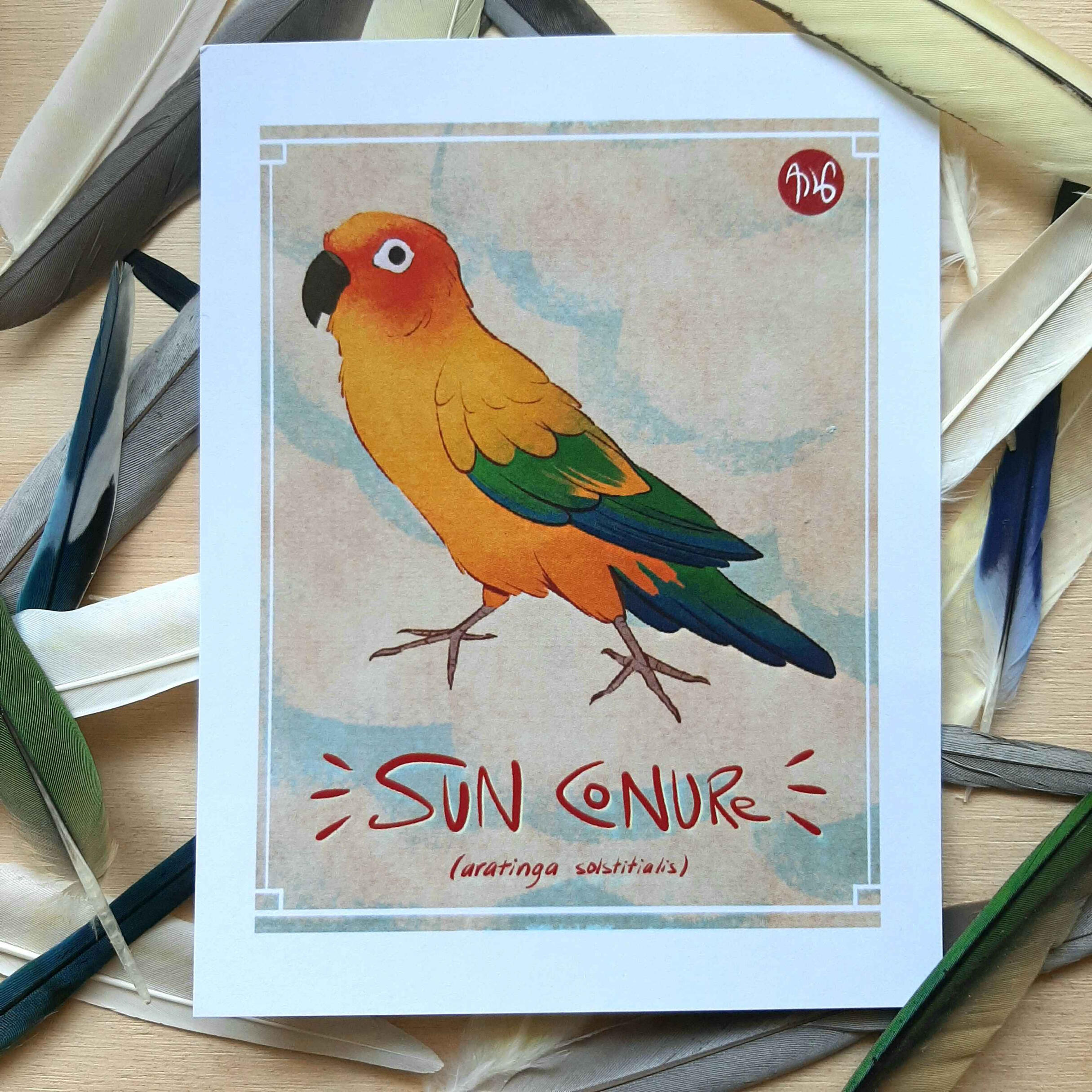 "Sun Conure" Postal $40 MXN