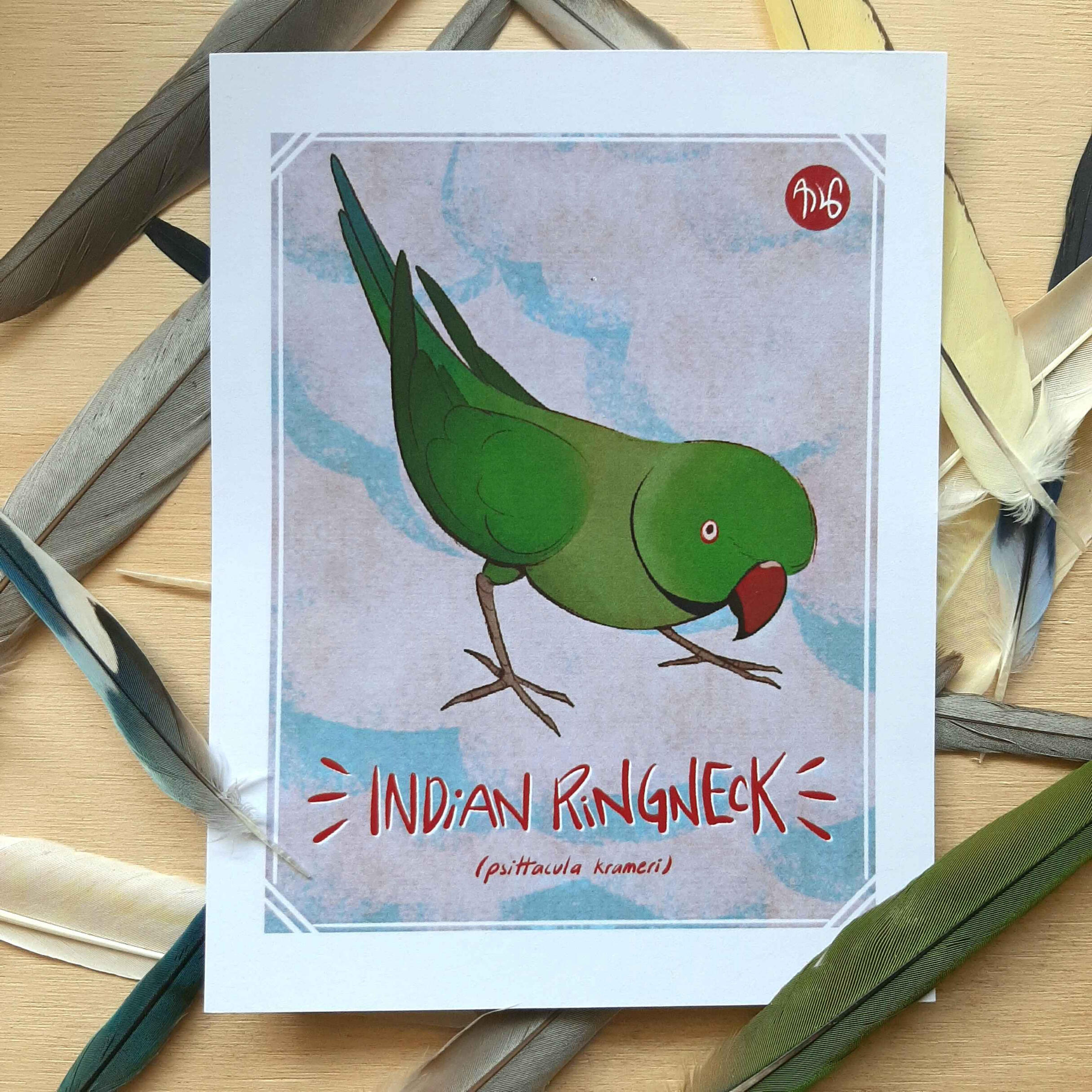 "Indian Ringneck" Postal $40 MXN