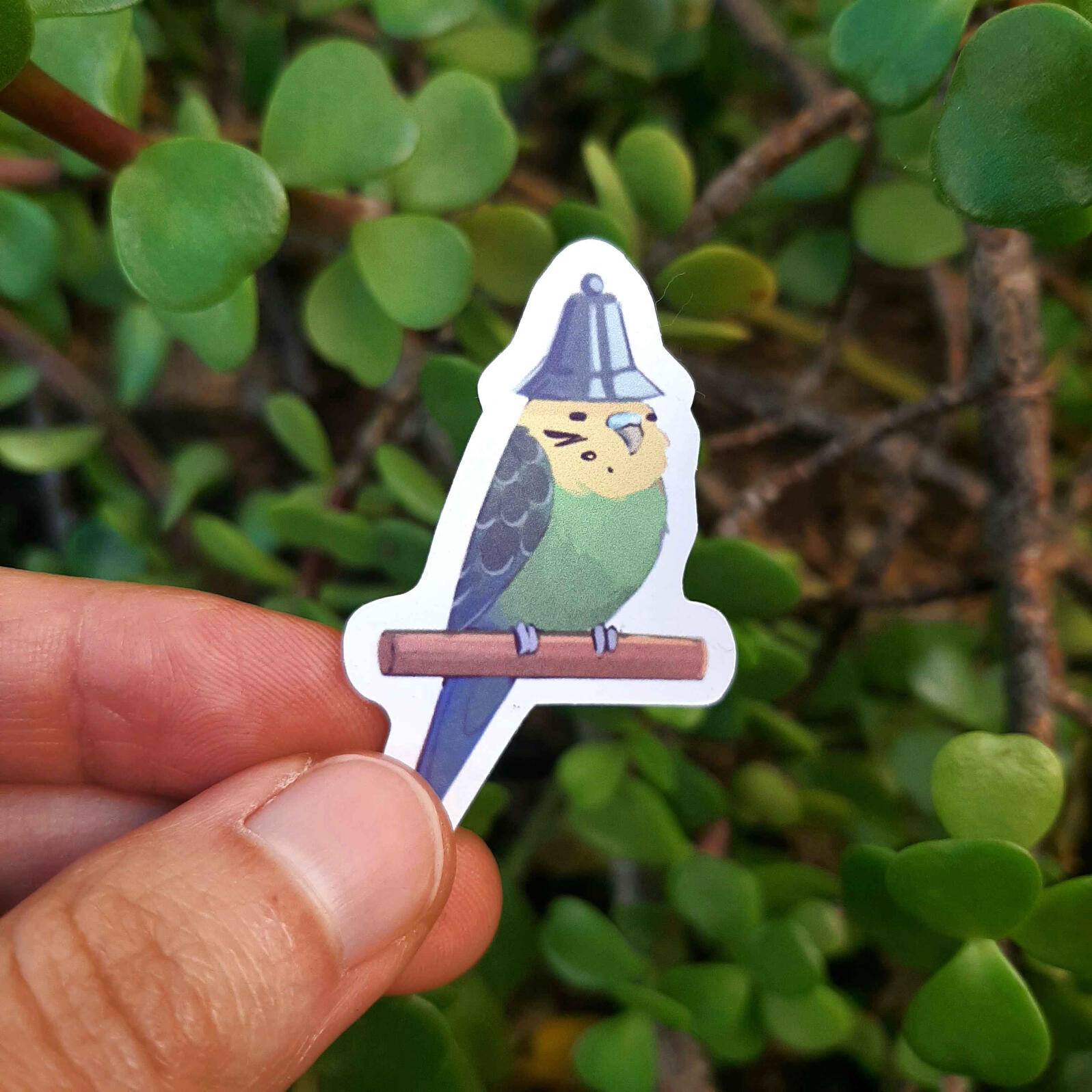 Periquito $10 MXN