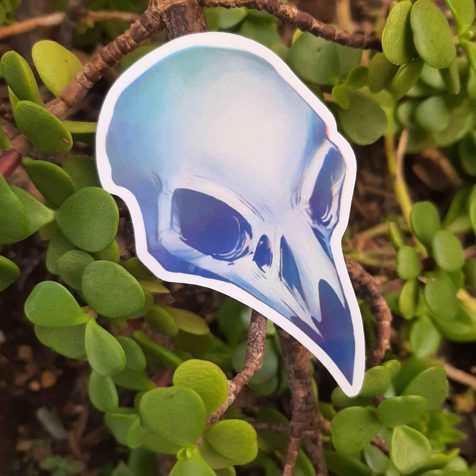 Cráneo Corvo $15 MXN