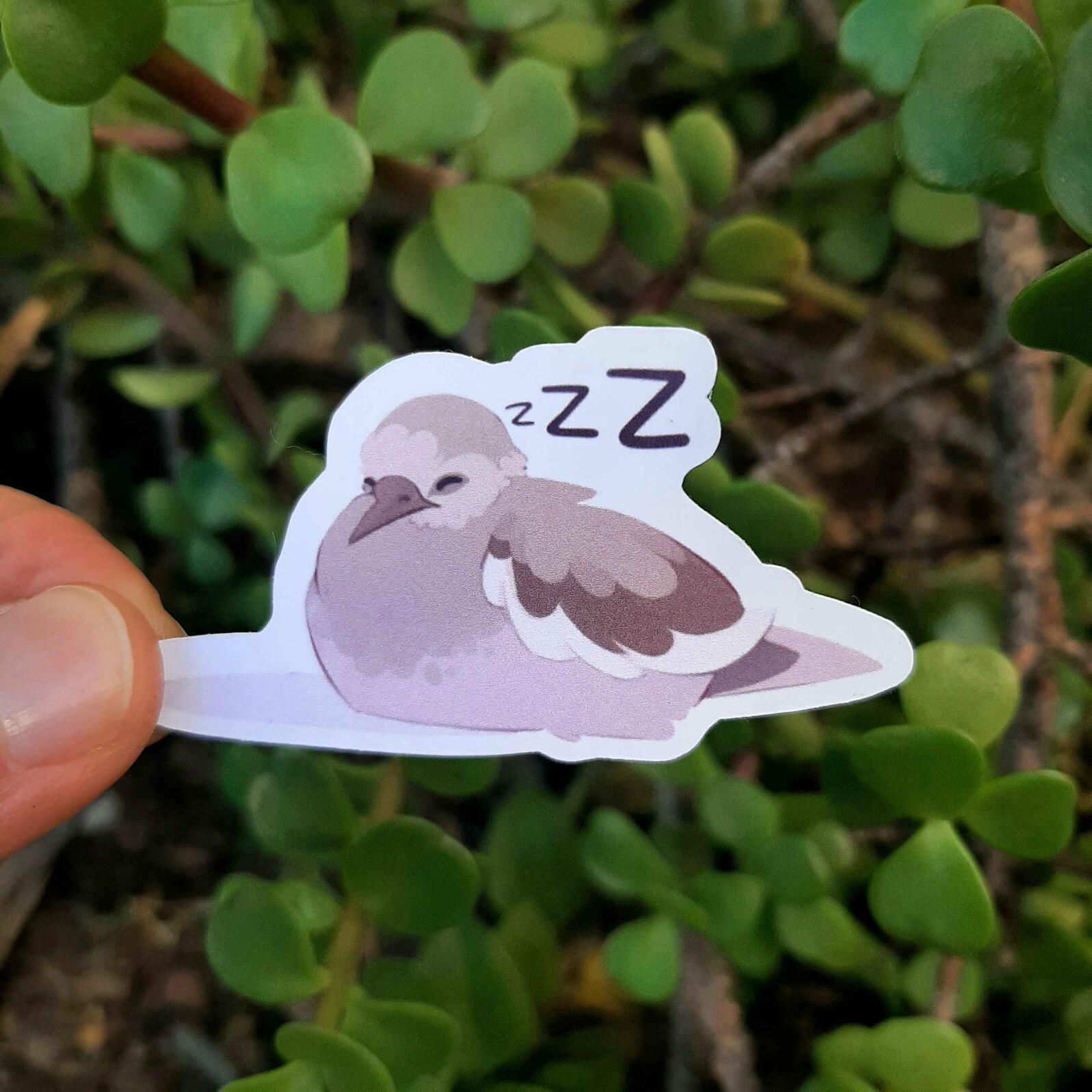 Paloma zZZ $10 MXN