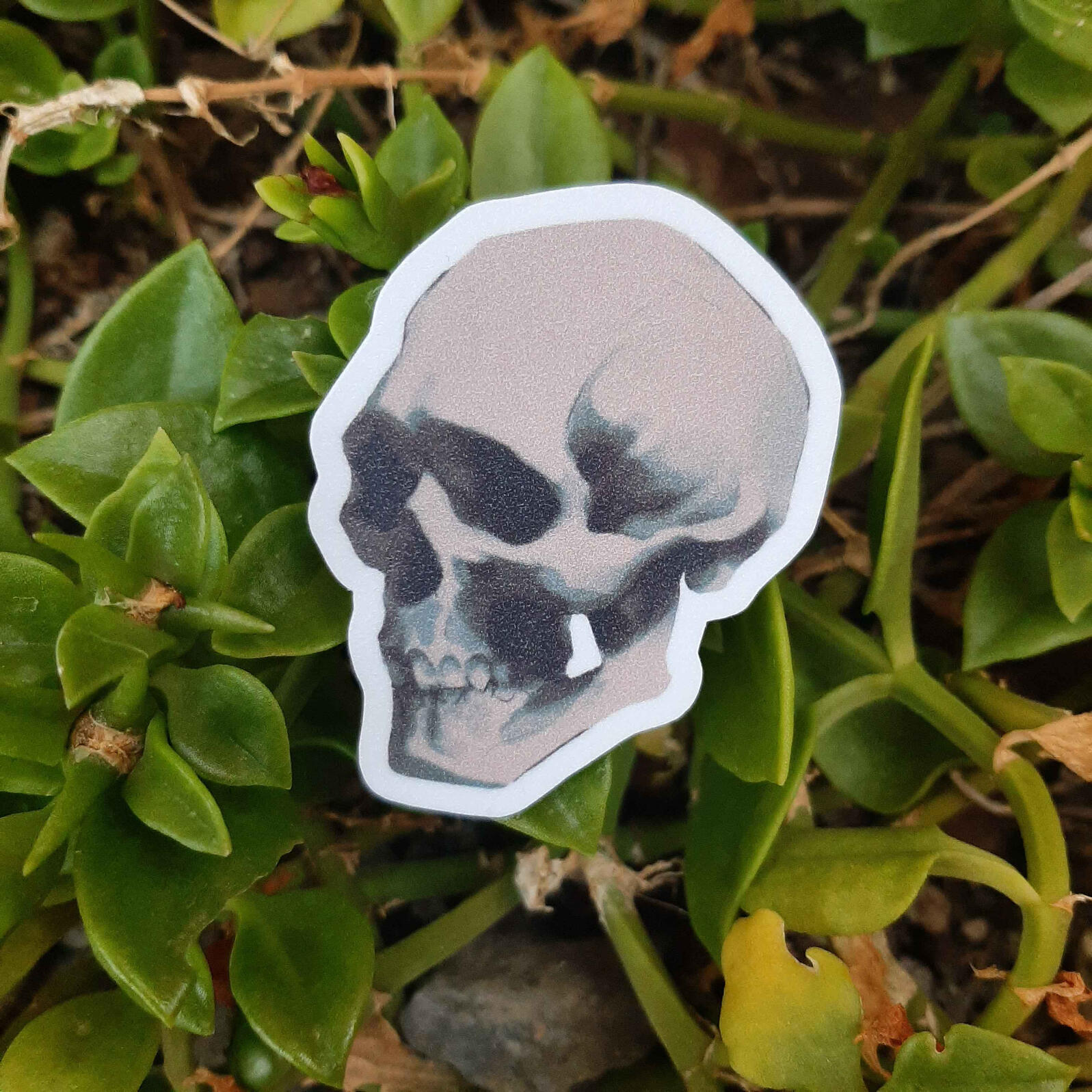 Calavera Default $15 MXN