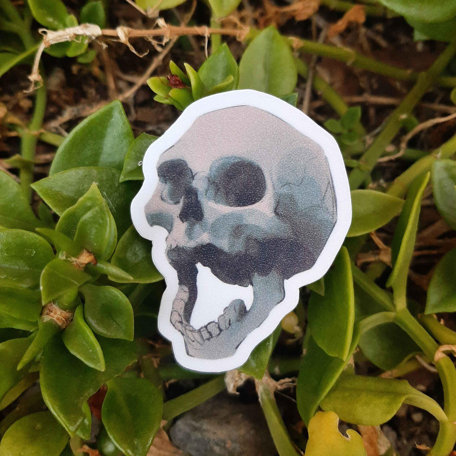 Calavera :D $15 MXN
