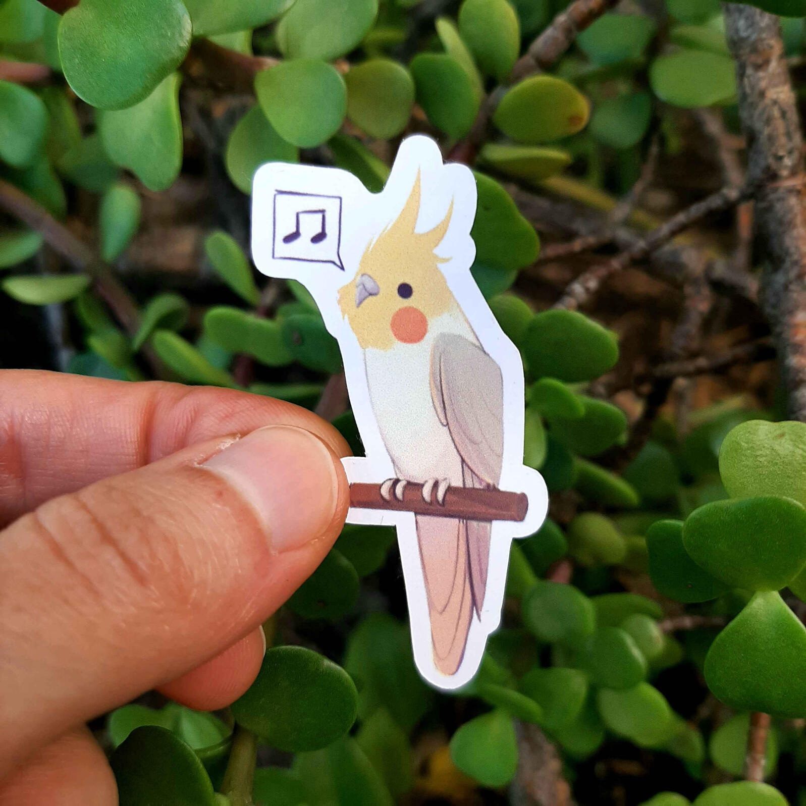 Ninfa $10 MXN