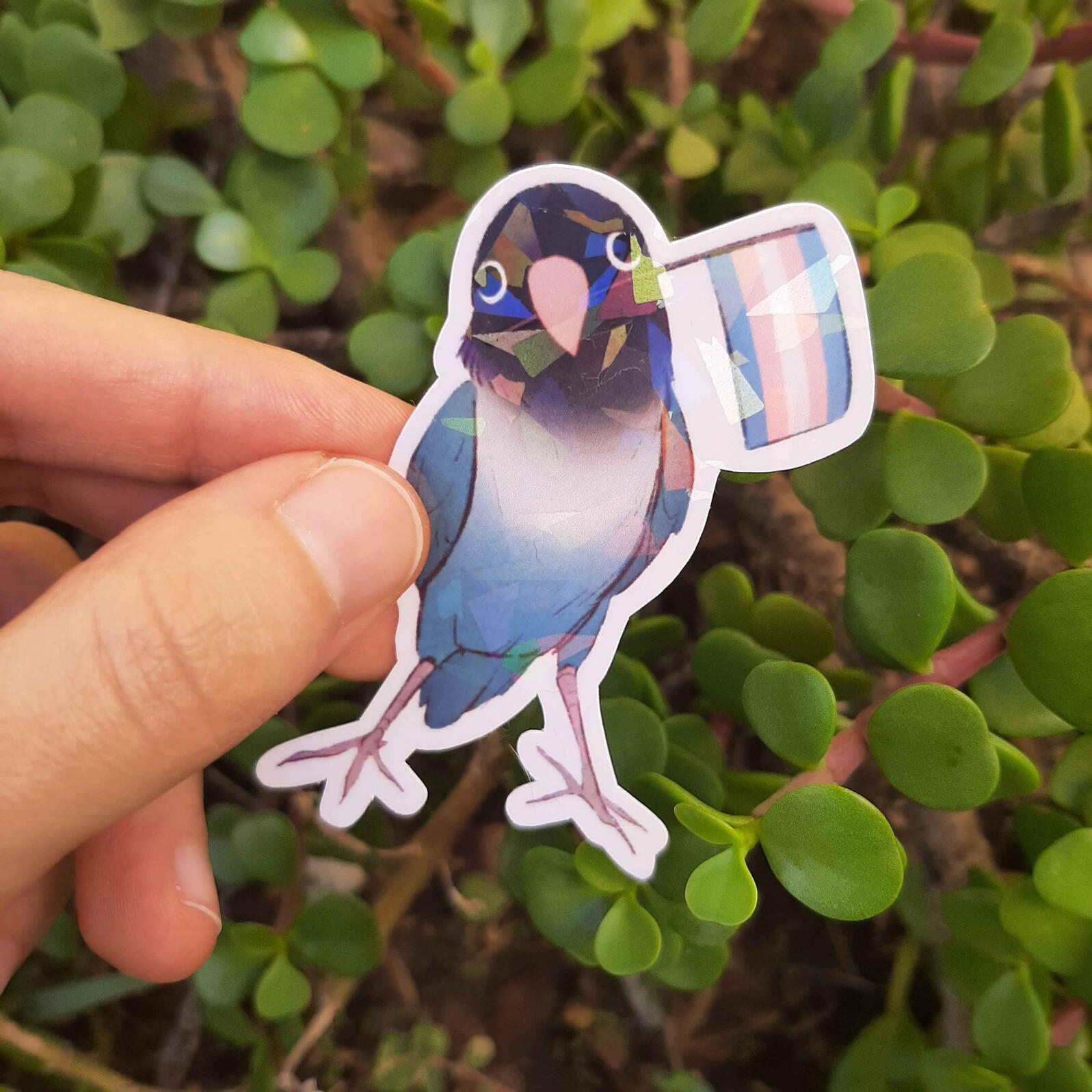 Poyo Trans $10 MXN
